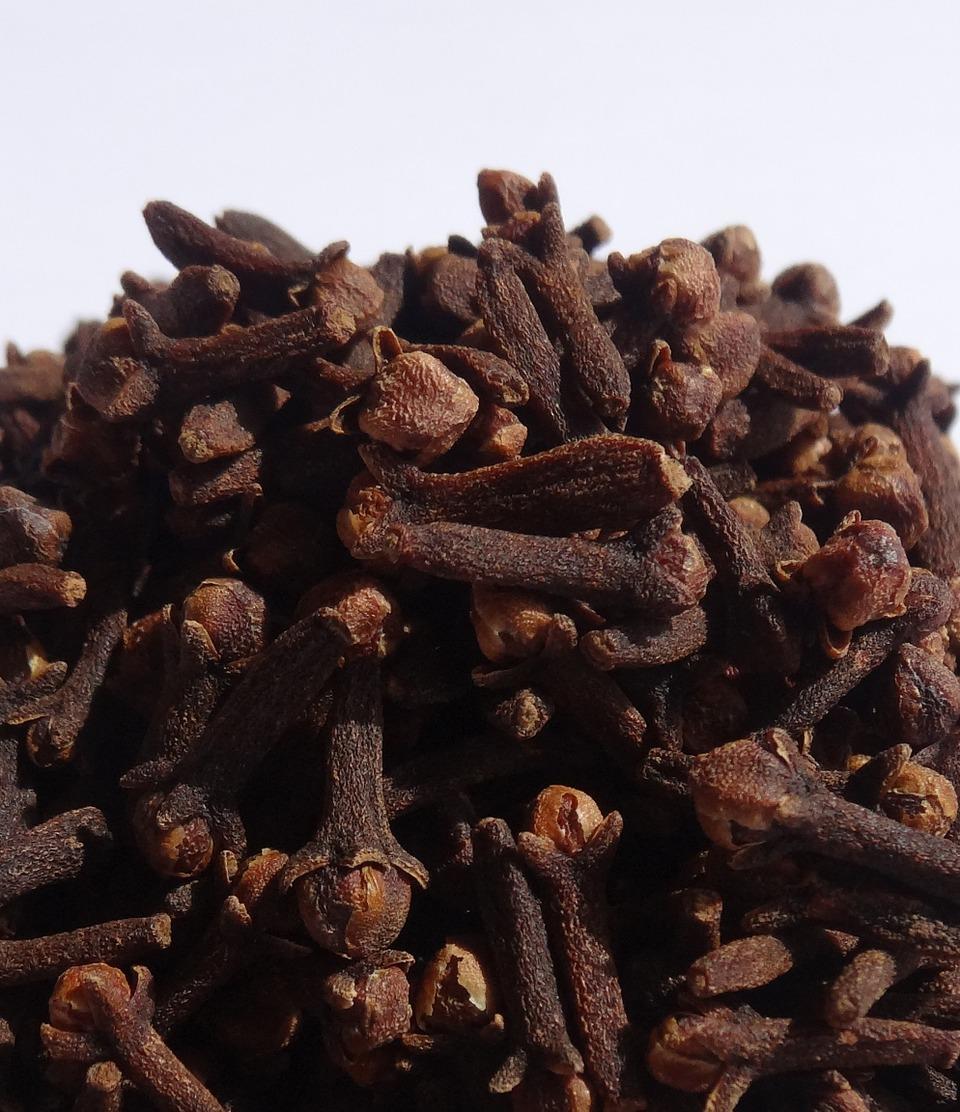 Syzygium_aromaticum_aimil