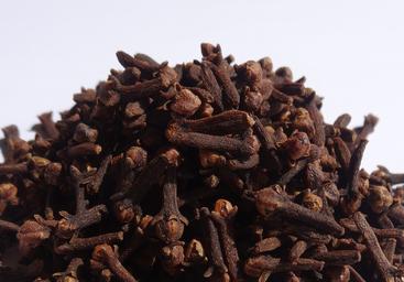 Syzygium_aromaticum_aimil