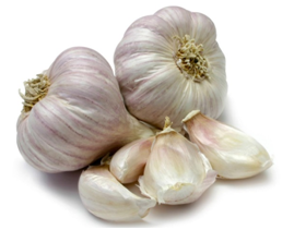 aimil-Allium-sativum