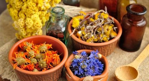 zdraví, které baví