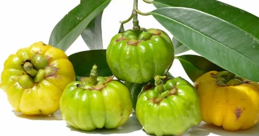 aimil-garcinia-cambogia