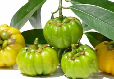 aimil-garcinia-cambogia