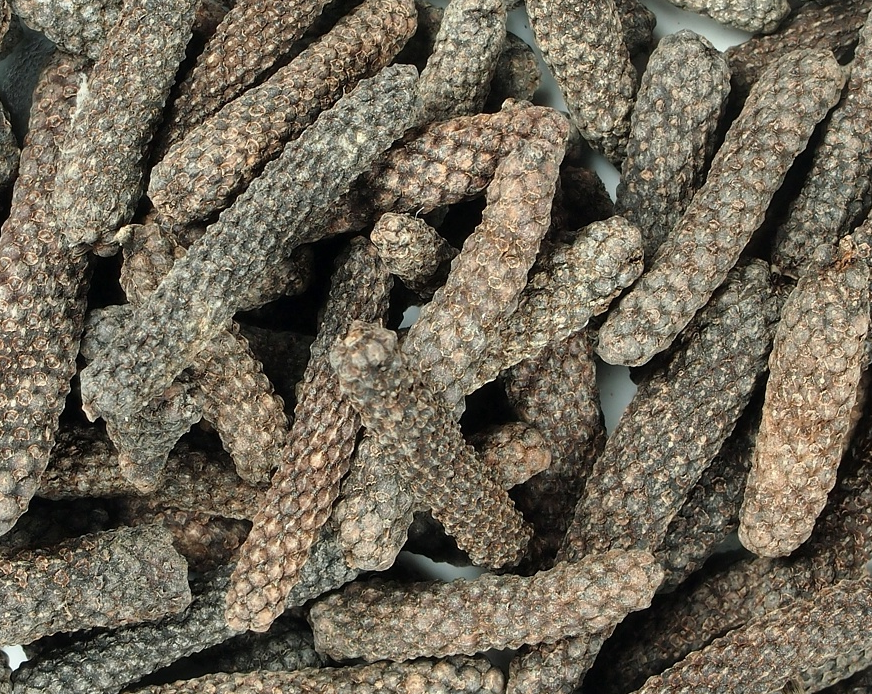 aimil-pipe-longum