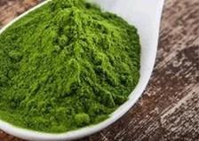 chlorella