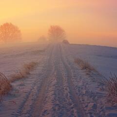 winter-way-g1cc9eb555_1920