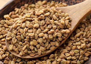 Aimil Trigonella foenum-graecum