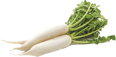 Aimil-raphanus-sativus