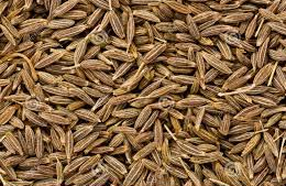 aimil-Cuminum-cyminum