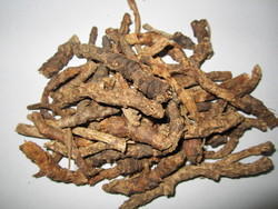 aimil-picrorhiza-kurroa