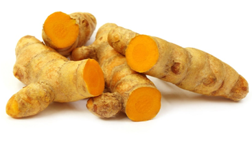 aimil-curcuma-longa-i
