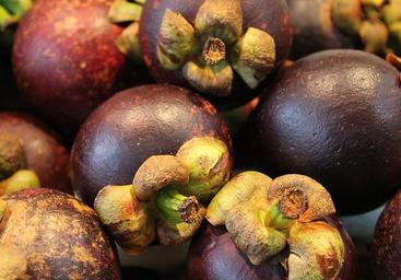 aimil-garcinia-indica-640