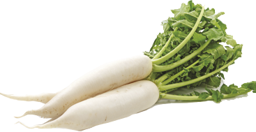 Aimil-raphanus-sativus