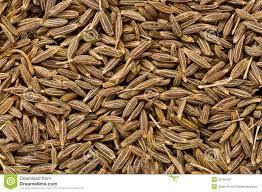 aimil-Cuminum-cyminum